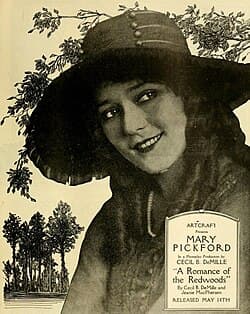 A Romance of the Redwoods poster
