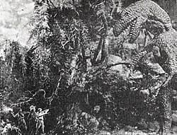 The Lost World poster